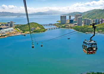 Hong Kong Delight